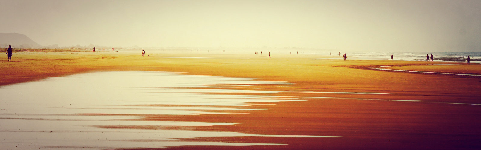 The yung dreamer presentación